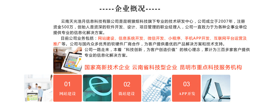 企业概况
