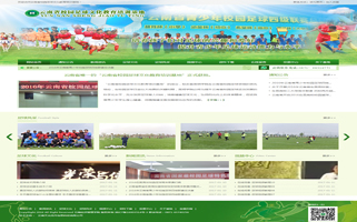 云南省校园足球文化教育培训基地网站验收正式交付使用