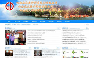 云南光大会计师事务所网站验收正式交付使用